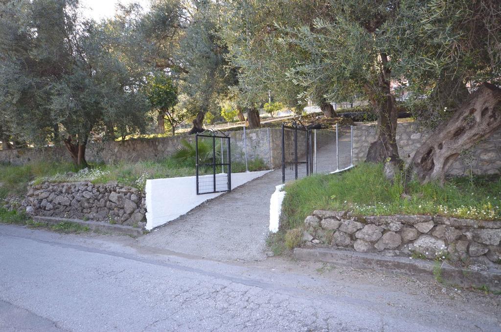 פאלאוקסטריצה Lisipio Studios By Eleni מראה חיצוני תמונה